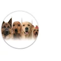 Royal Canin kutyatáp, korra szabva