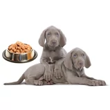 Állatorvosi konzervek és nedves tápok Állatorvosi konzervek és nedves tápok