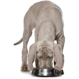 Állatorvosi szárazeledelek Állatorvosi szárazeledelek