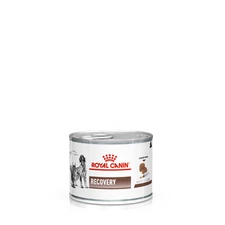 RECOVERY DOG/CAT ROYAL CANIN RECOVERY DOG/CAT ROYAL CANIN