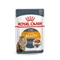 Royal Canin WET INTENSE BEAUTY   85g