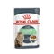 Royal Canin DIGESTIVE SENSITIVE    85g
