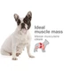 ROYAL CANIN FRENCH BULLDOG