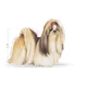 ROYAL CANIN SHIH TZU