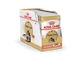 ROYAL CANIN WET MAINE COON
