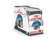 ROYAL CANIN ULTRA LIGHT