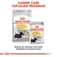 ROYAL CANIN DERMACOMFORT MINI