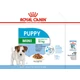 ROYAL CANIN  WET MINI PUPPY 85G