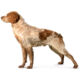 ROYAL CANIN GASTRO INTESTINAL LOW FAT DOG