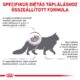 RENAL CAT BEEF ROYAL CANIN spec formula