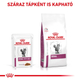 RENAL CAT BEEF ROYAL CANIN 