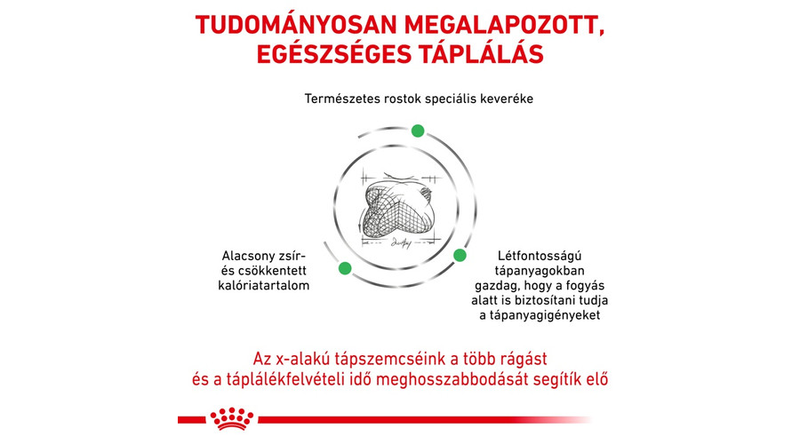 satiety weight management
