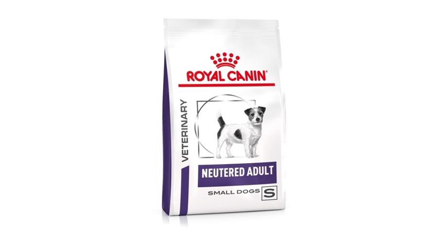 neutered royal canin dog